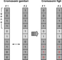 Crossover single point. Due cromosomi binari 'genitori' si scambiano materiale genetico (porzioni in rosso) generando due nuovi cromosomi ' figli'. Il punto di rottura dei cromosomi viene scelto casualmente.