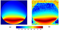 Confronto delle distribuzioni di campo magnetico ottenute con la simulazione elettromagnetica della bobina dual tuned (a) e le misure in scanner MRI (b).