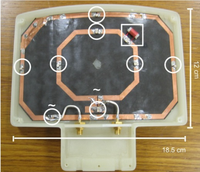 Bobina a radio-frequenza per risonanza magnetica risonante alle frequenze di Larmor del fosforo e dell'idrogeno a 1.5T.